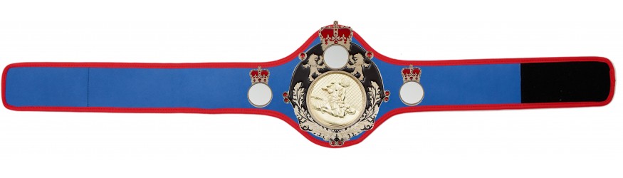 QUEENSBURY PRO LEATHER MMA CHAMPIONSHIP BELT - QUEEN/B/S/MMAG  -10+ COLOURS